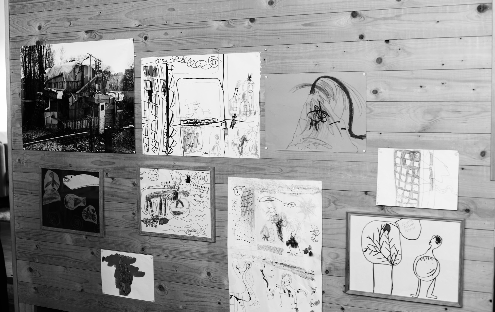 ../links/image_5_DSC_0453