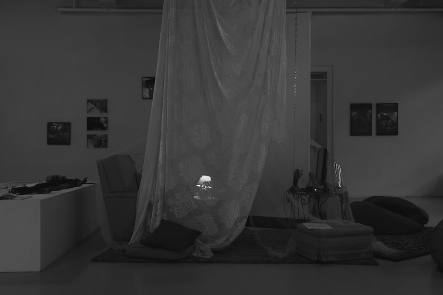 crédit photos : eden levi am