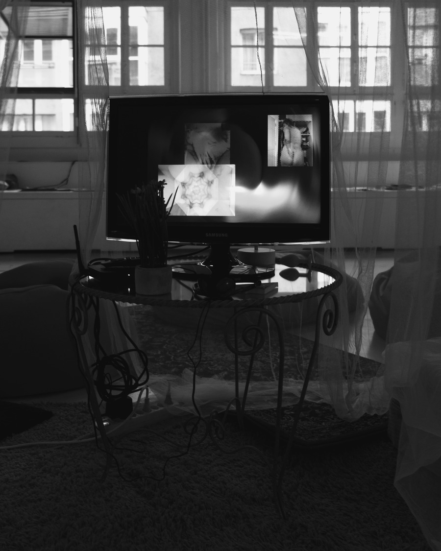 crédit photos : eden levi am